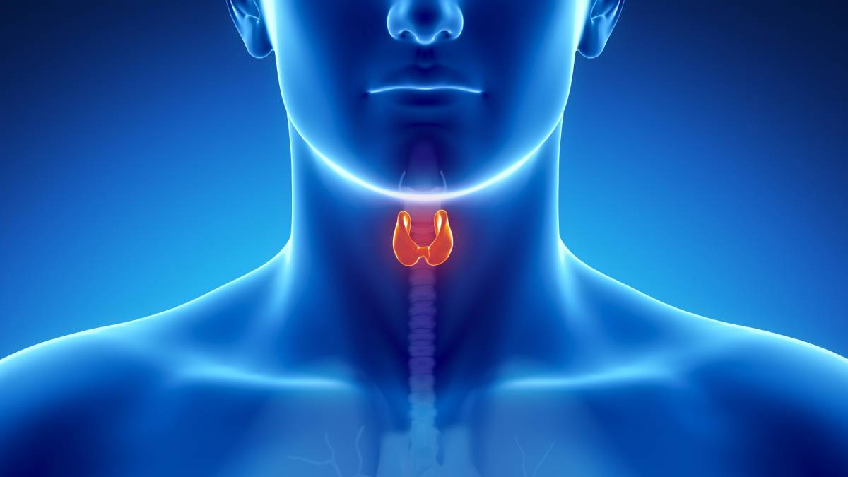 Haşimoto tiroiditi